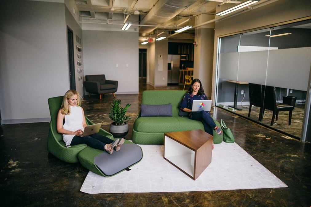 Large Team Window Office