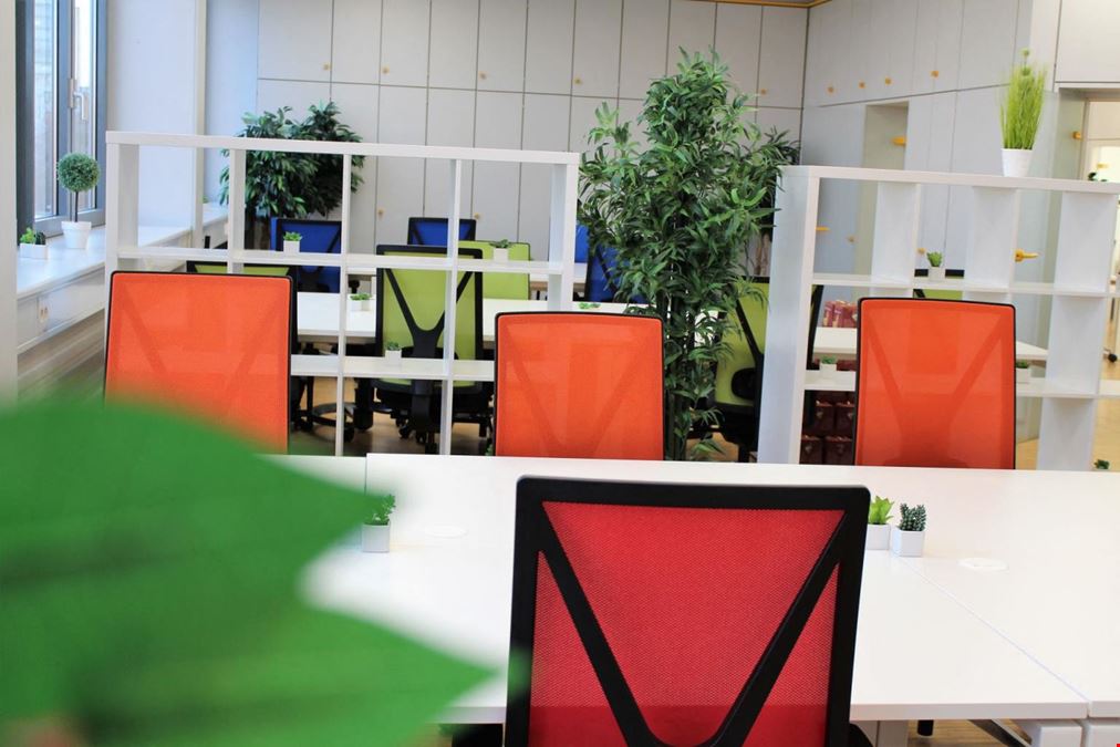 TERRA Business Coworking Space Offenburg