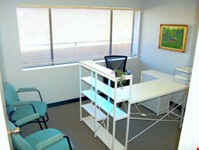 Private Office #202 for One Person – No Glass. Full Privacy. Premium Focus Space