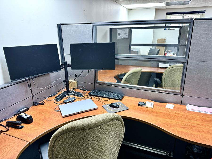 One Village Alliance, Freedom