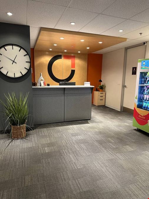 The Curators Hub - Curators Hub