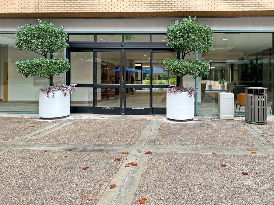 Mountain View Downtown