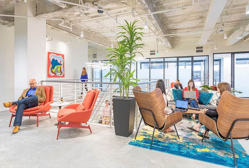 Serendipity Labs - White Plains - Downtown