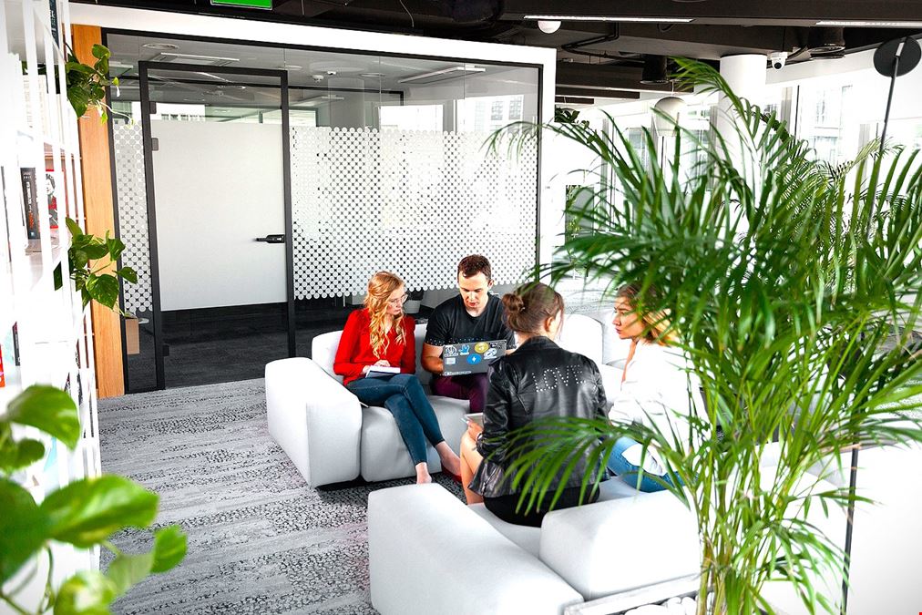 BOBO Coworking - BOurgeois BOhemians Coworking