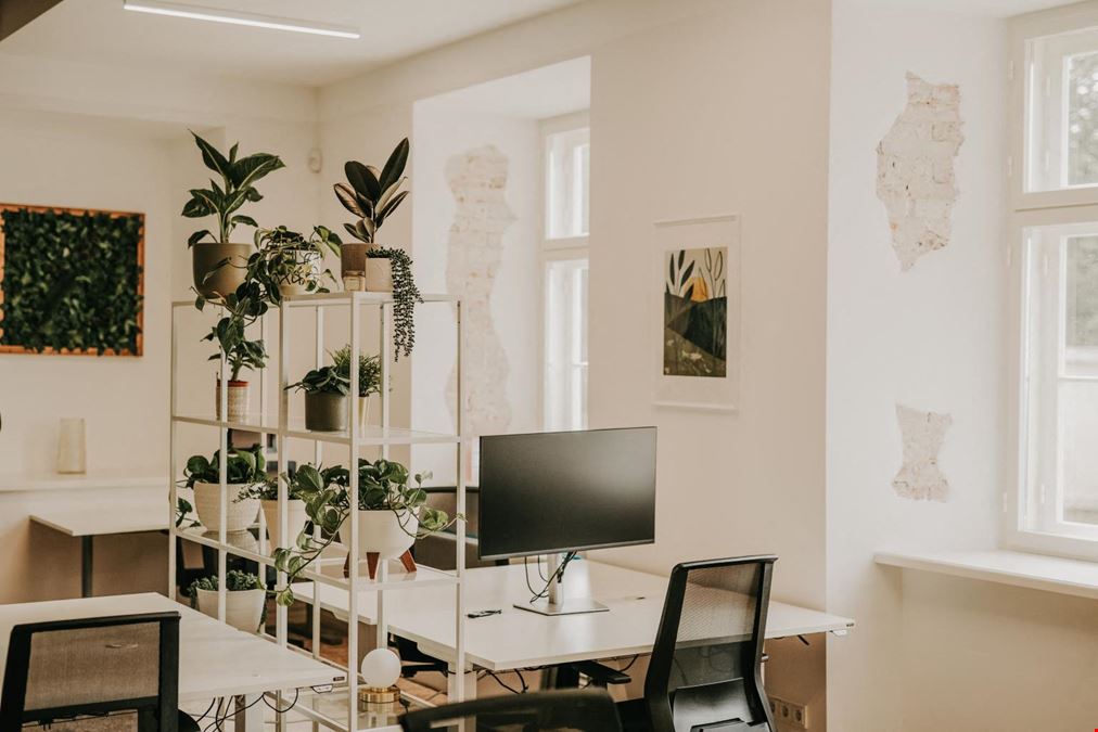 WorkVibe Coworking