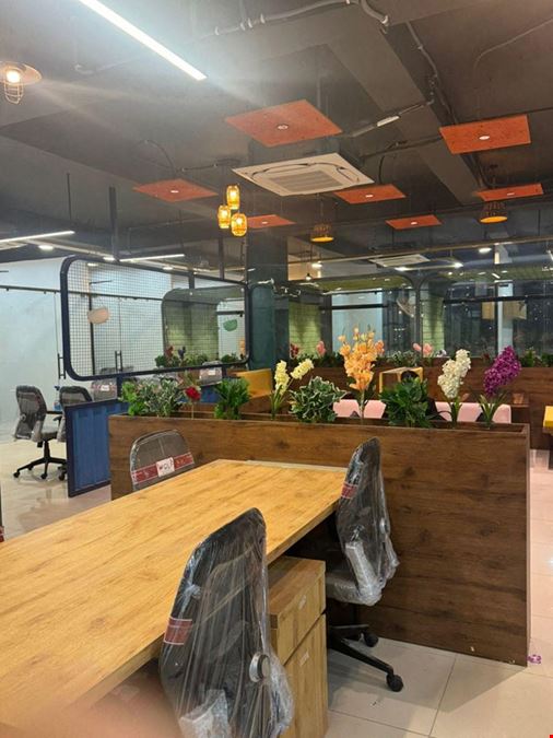 Instaa Office - Dsquare