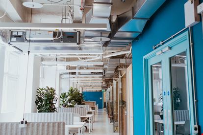 Preview of Hastings Commons - The Observer Building Office space for Rent in Hastings