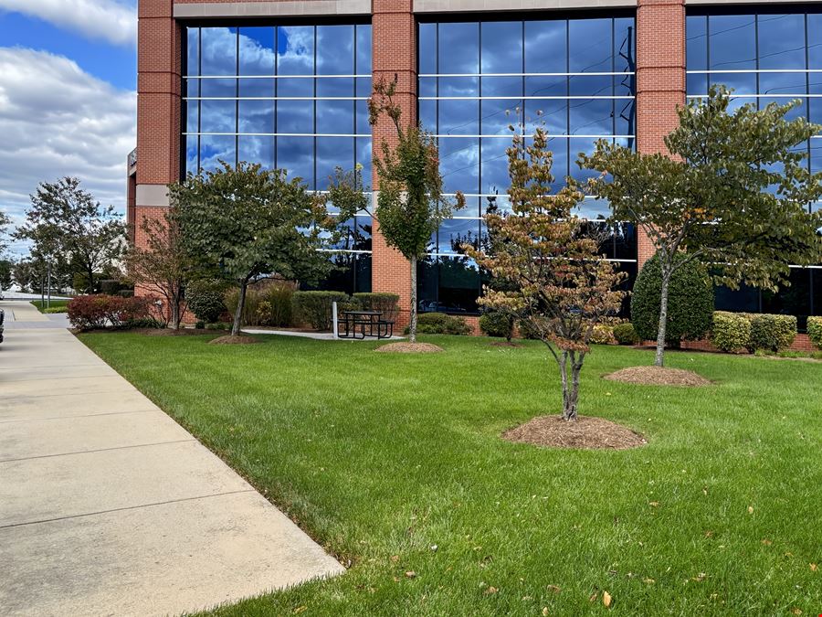 Battlefield Overlook