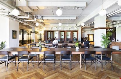 Preview of Mindspace - Haifa Office space for Rent in Haifa