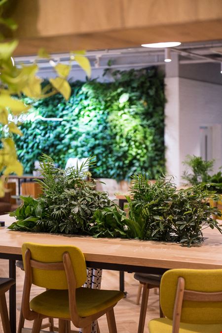 Gongxiao International