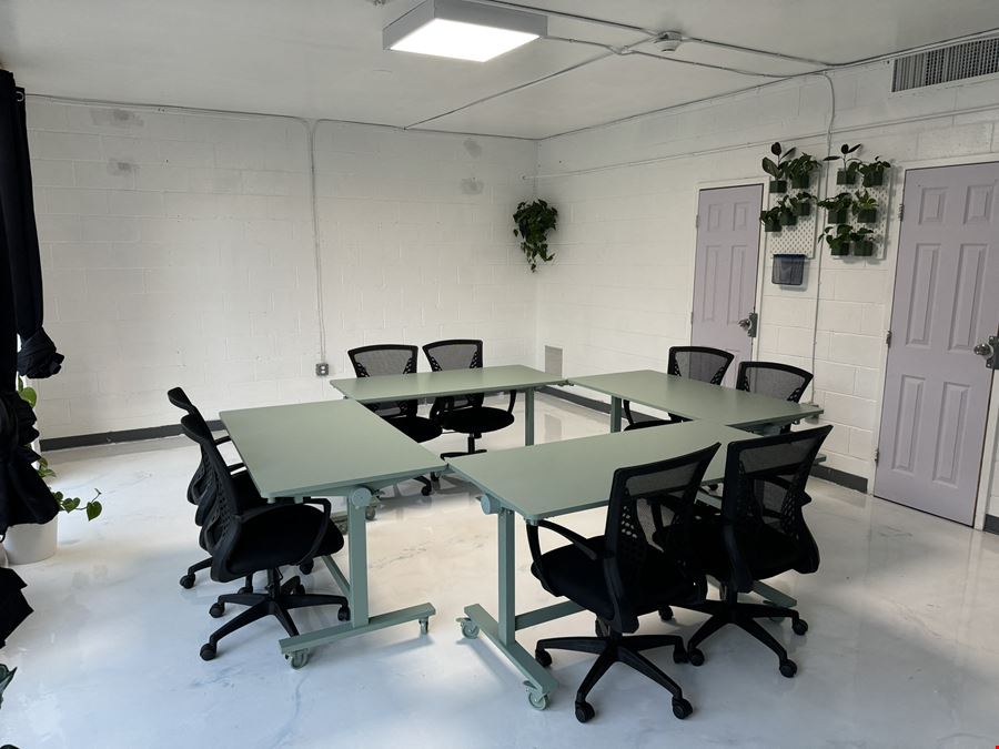 The Plant Apothecary