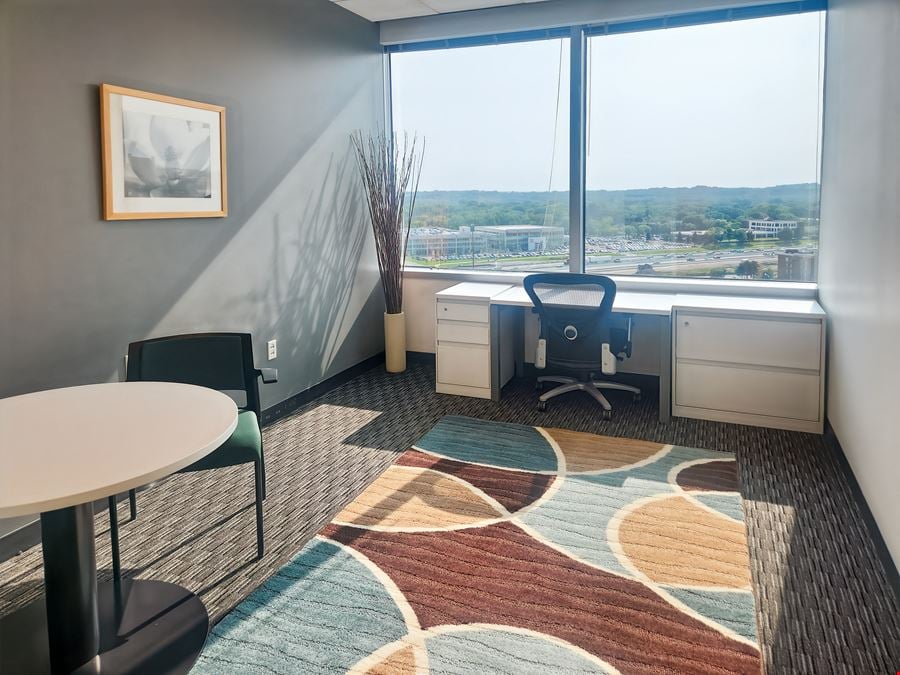 MN, Minneapolis - Minnesota Center