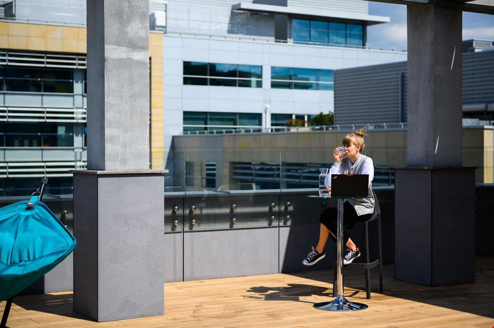 Brain Embassy Postepu