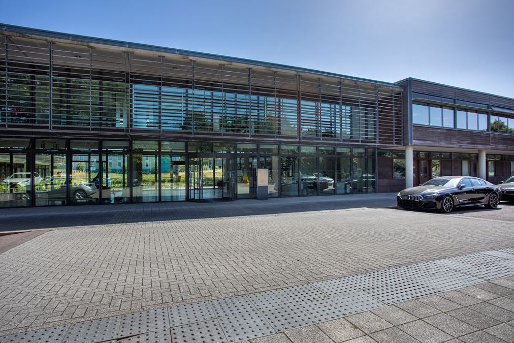 Basepoint - Great Marlings