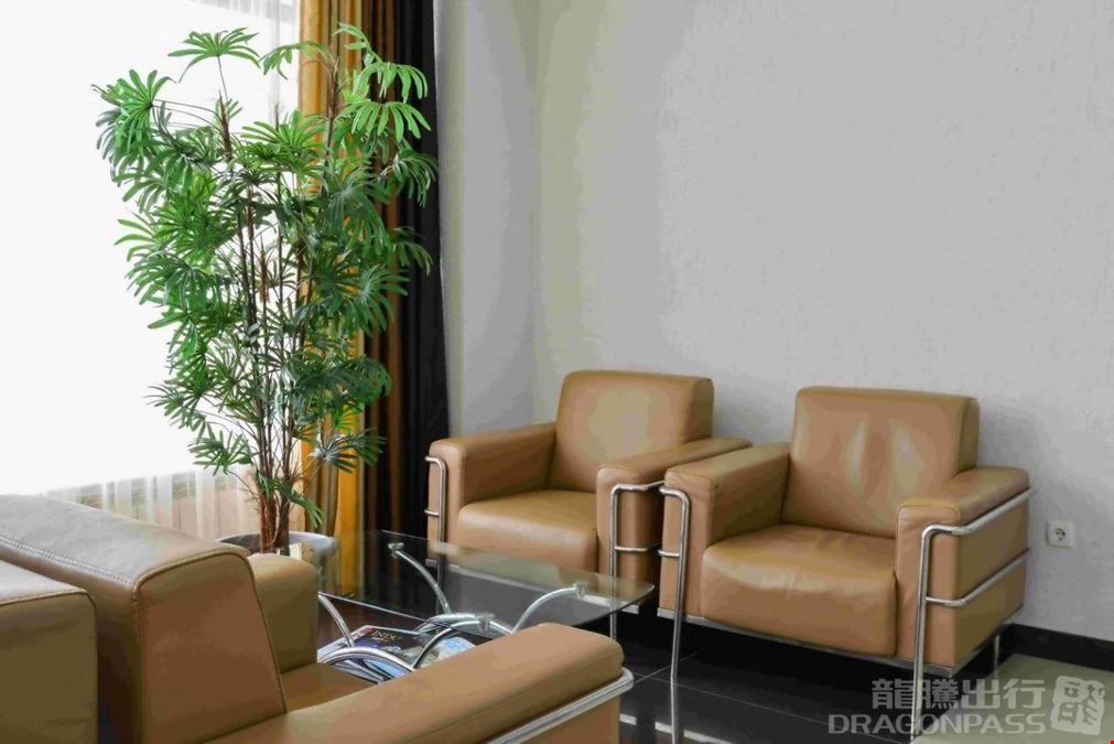 CIP Lounge Sary-Arka Airport Main Terminal