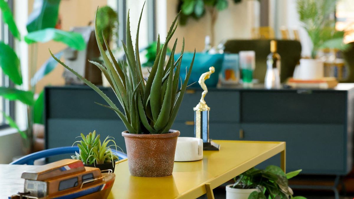 Thrive Coworking - Cumming