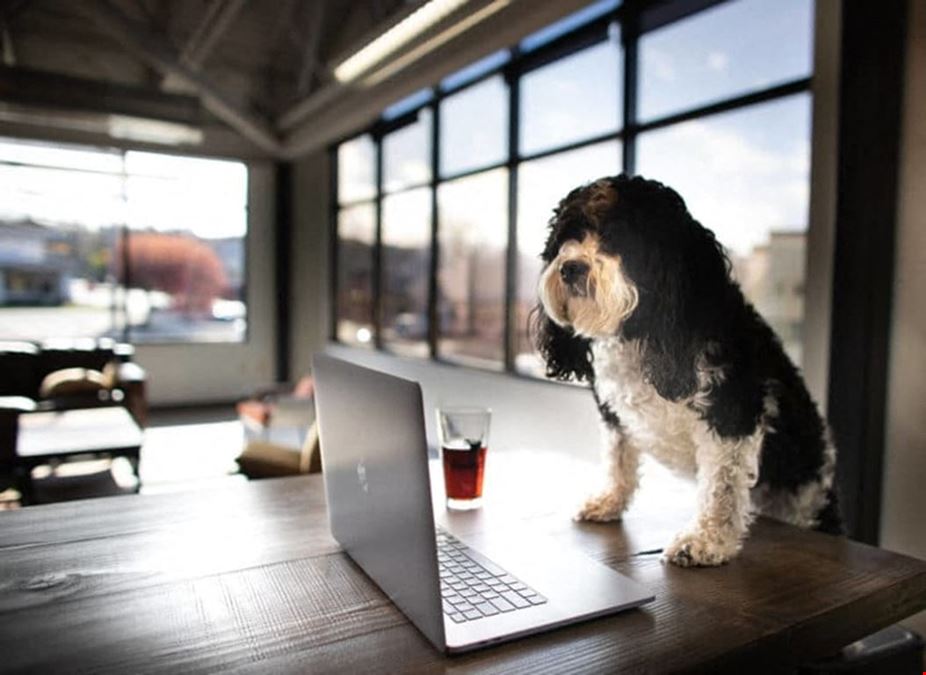 Workhorse Coworking