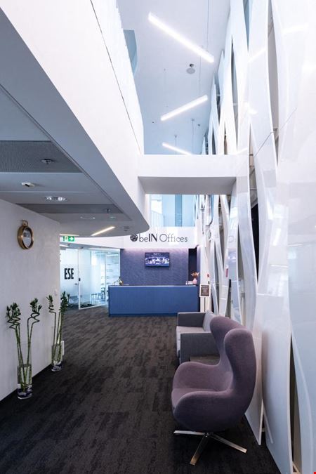 BeIN Offices Zebra White