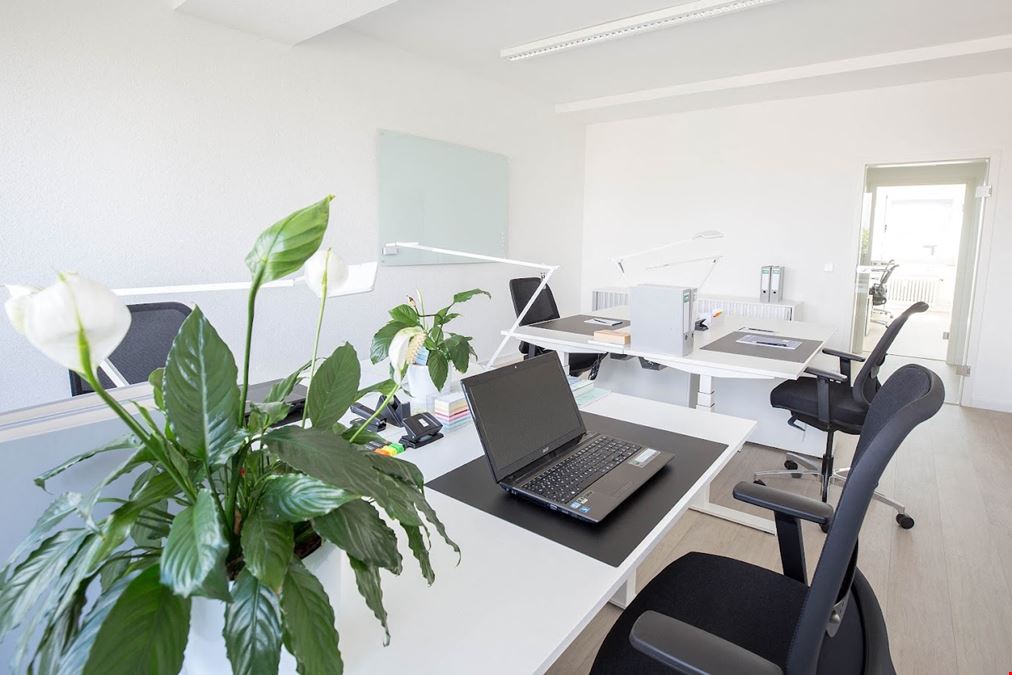 Worqs Coworking- Mannheim