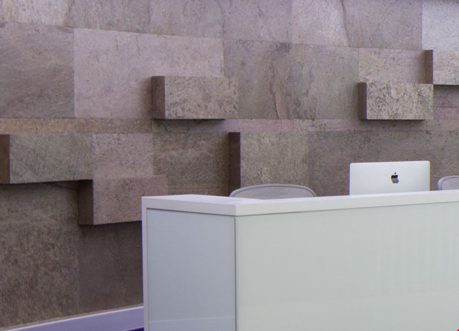 The Executive Centre - Chennai - Olympia Teknos Guindy