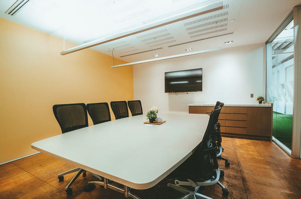 WOTSO - North Strathfield