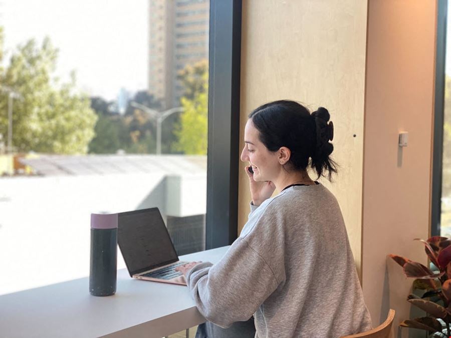 The Hive - Abbotsford