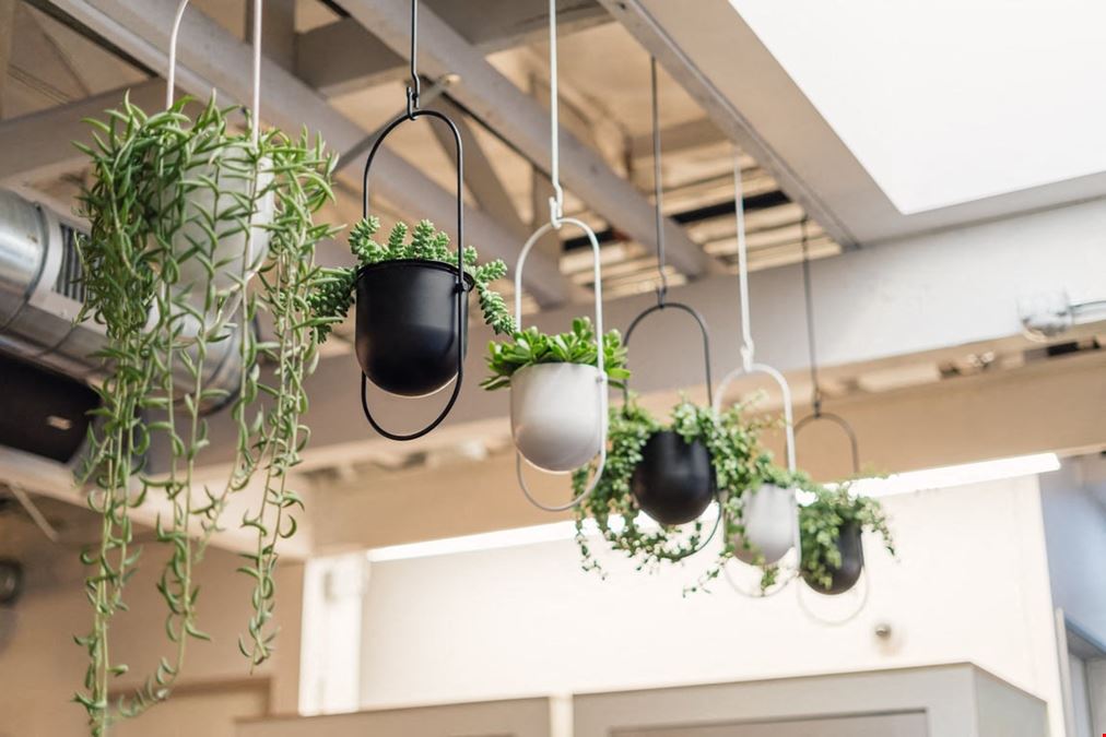 FoundrSpace - Old Town Pasadena