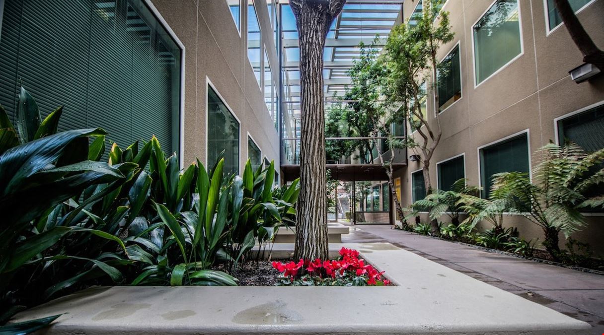 Executive Base Network