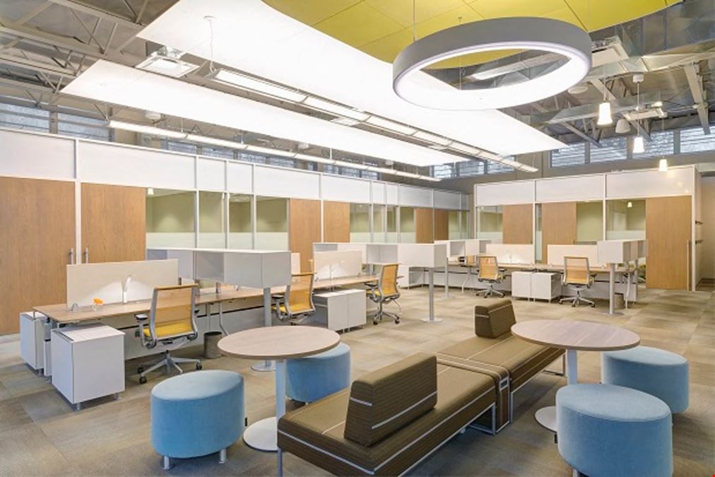 Serendipity Labs - Rye