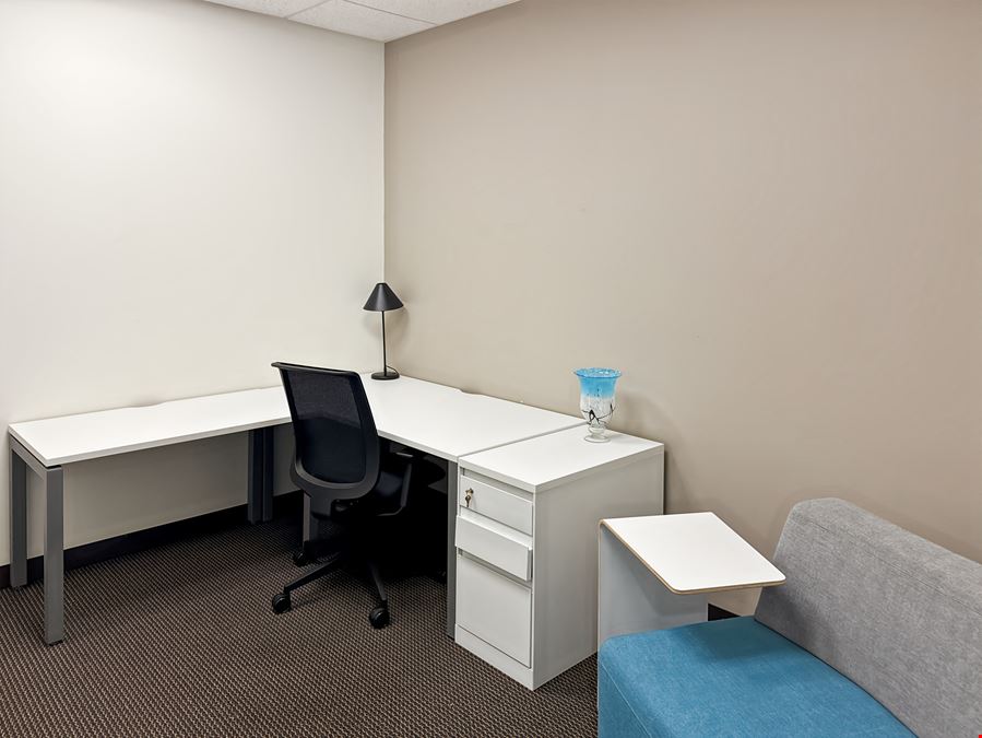 Regus - Lisle - Central Park of