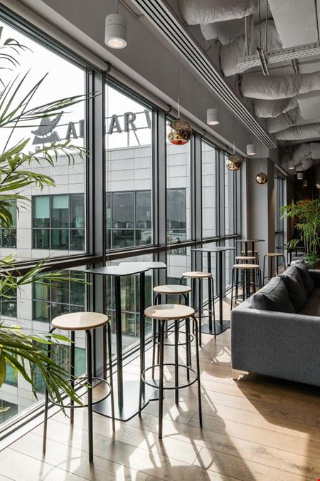 Brain Embassy Rzymowskiego