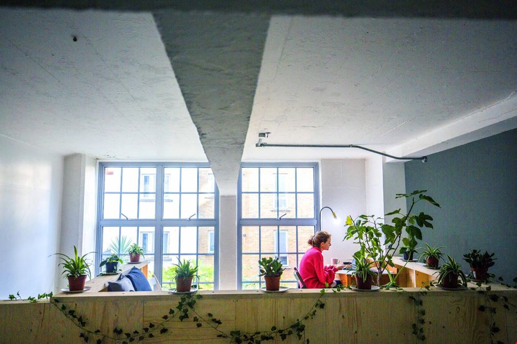 House Of Transformation