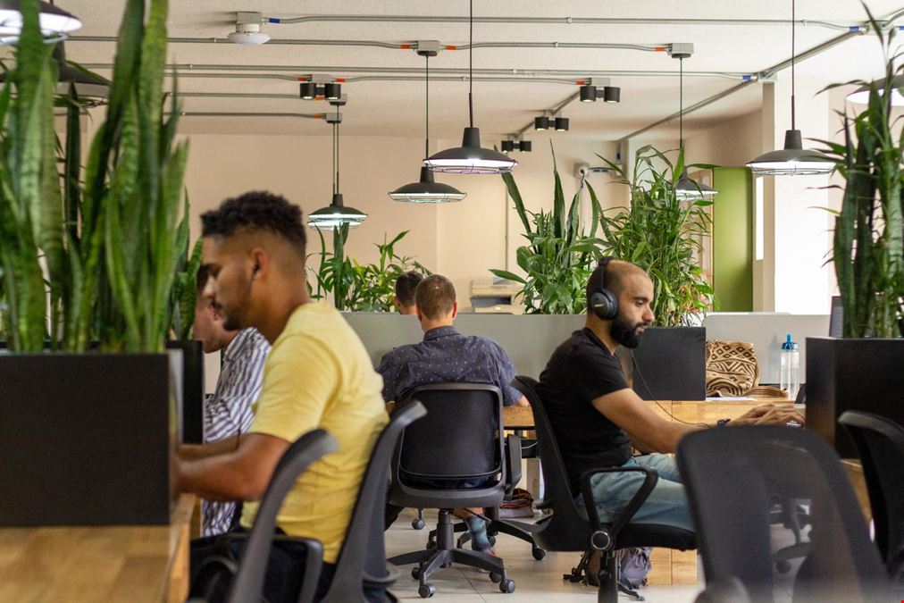 Semilla Café Coworking