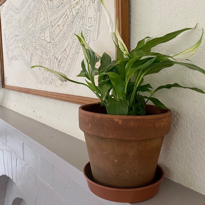 Moor Pool Estate Office - coworking and meeting space