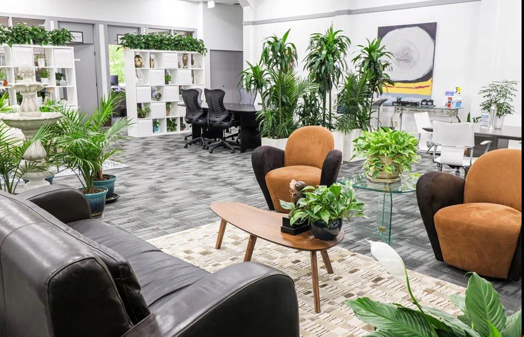 Overlake Workspace
