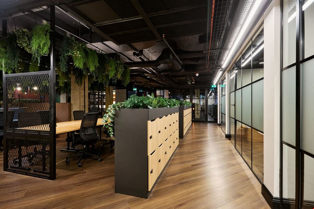 Apex Coworking - West Hampstead