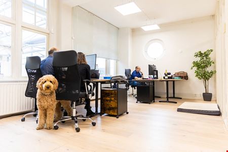 Preview of StartDock - Singel 126 Office space for Rent in Amsterdam