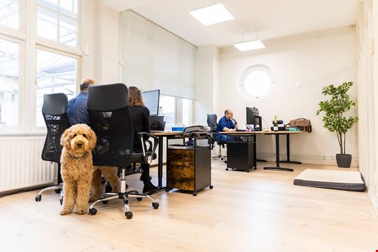 Preview of StartDock - Singel 126 Office space for Rent in Amsterdam
