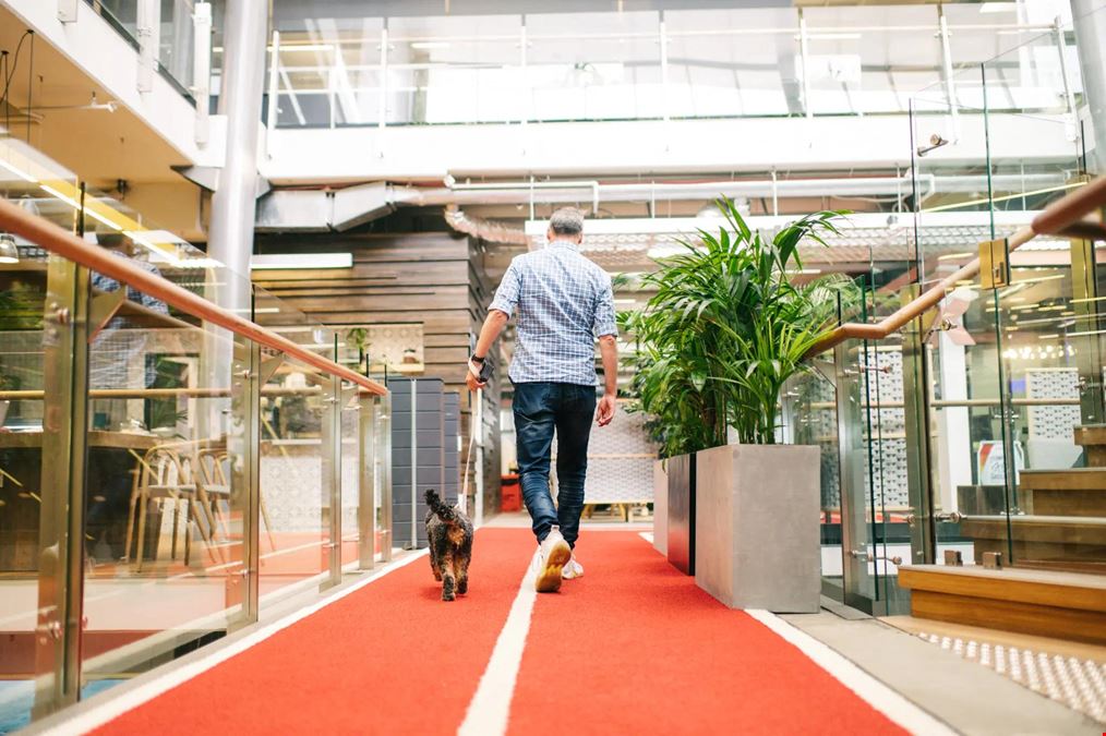 Cubes.Co - South Melbourne