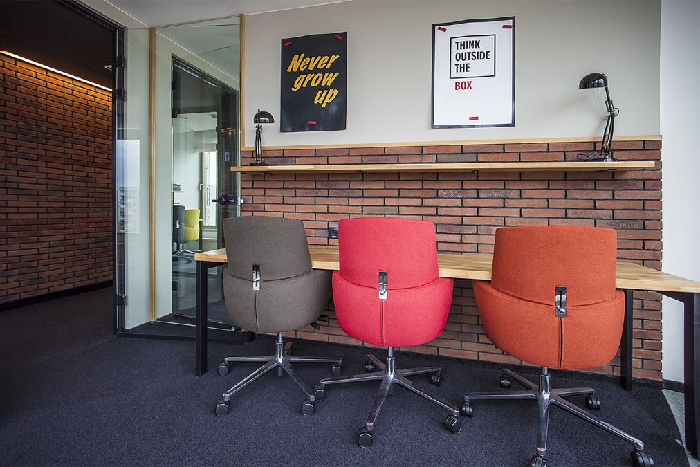 BeIN Offices Zebra Black