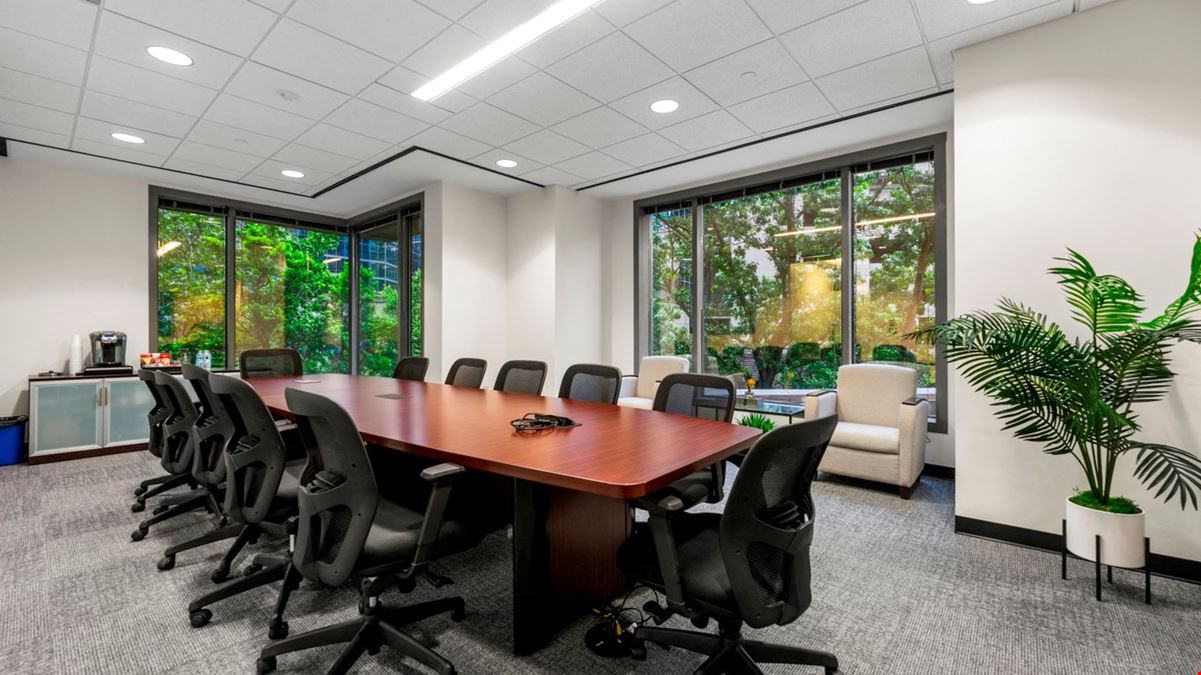 Skyview 12 Person Conference Room | Midtown