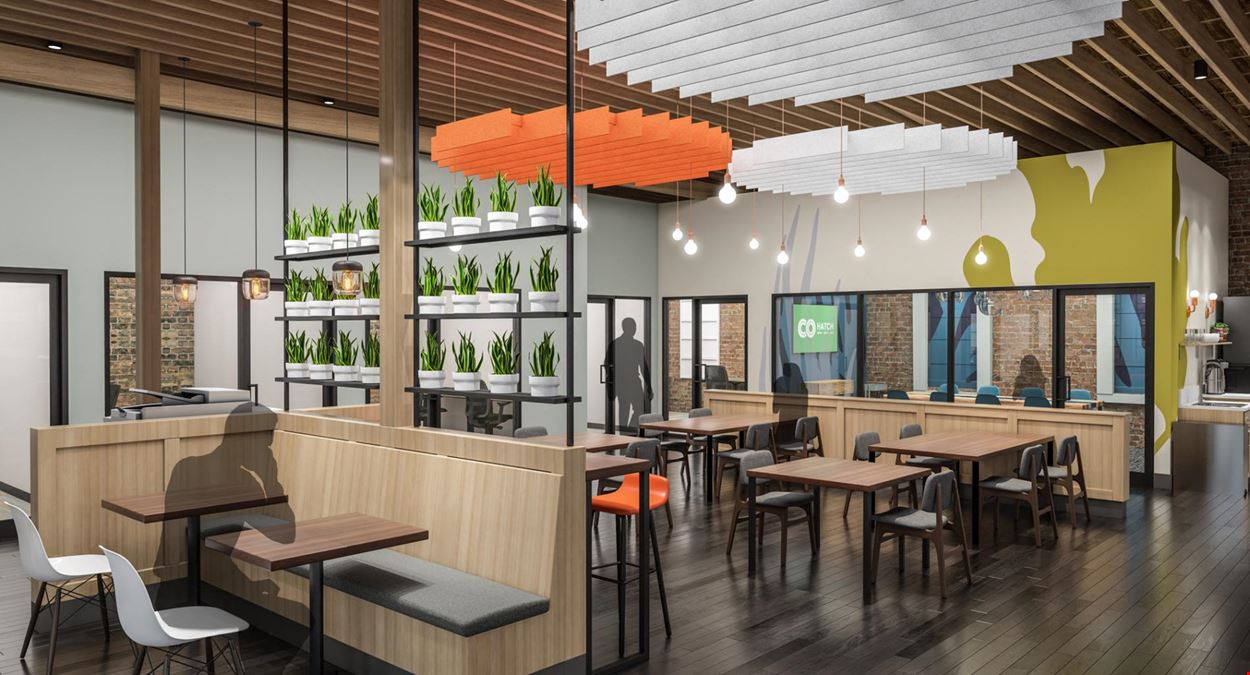 COhatch Tarpon Springs