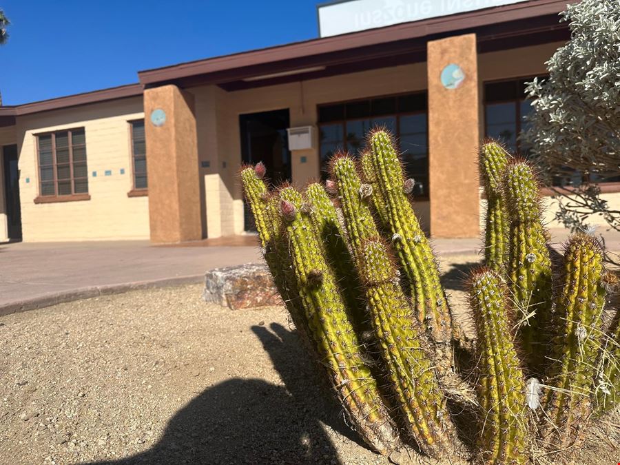 Black Cactus Twentynine Palms
