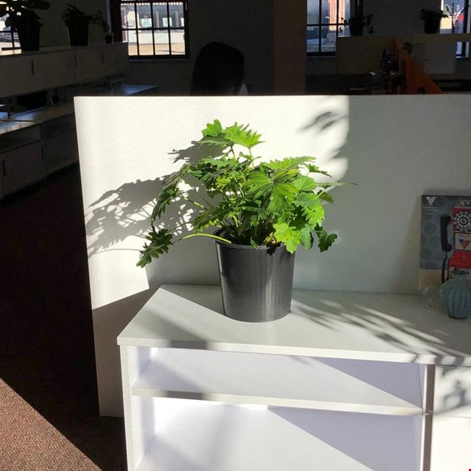 Epping District Coworking