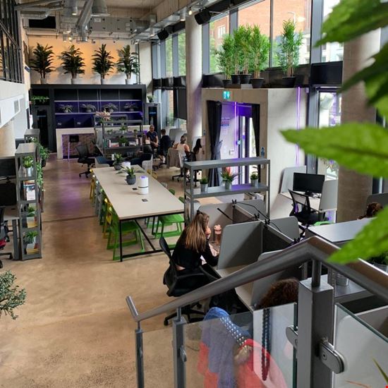 Preview of Hubflow - Dublin Rd Office space for Rent in Belfast