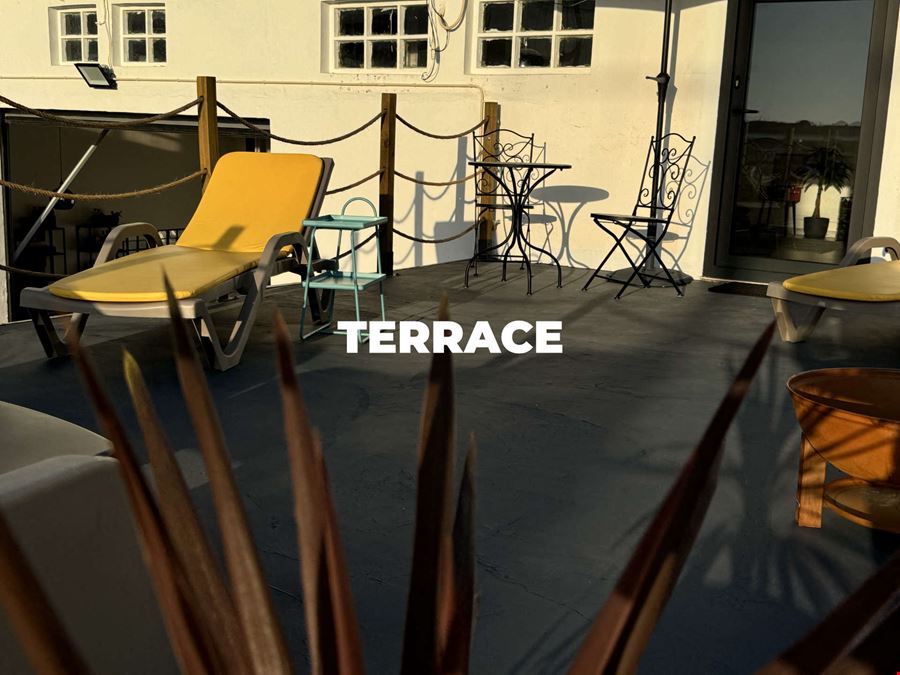 Octopus Concept Club