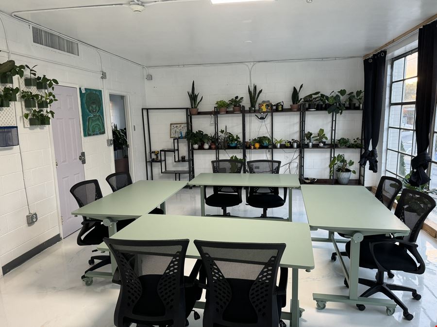 The Plant Apothecary