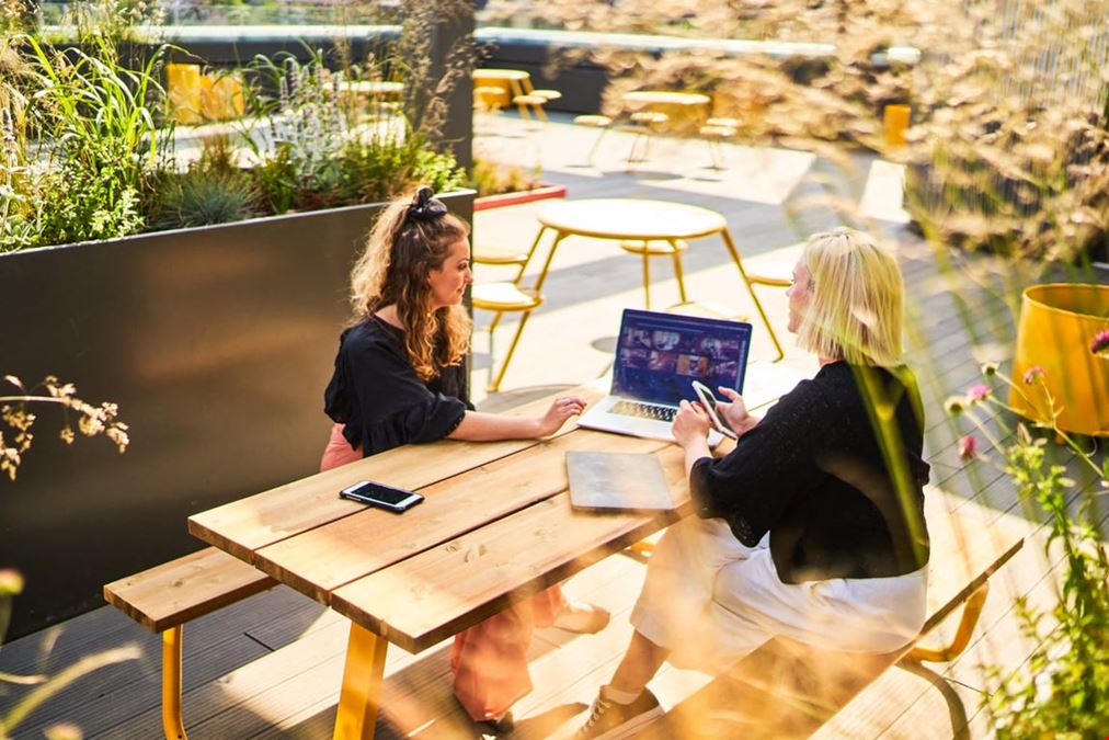 Plus X Innovation - Brighton