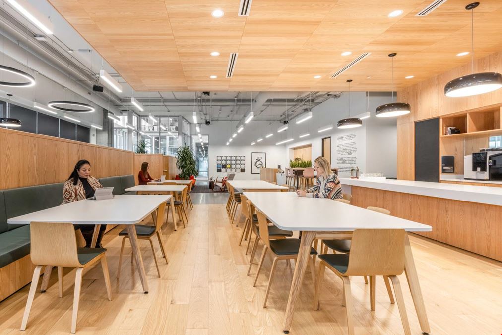 Spaces Triumph Boulevard