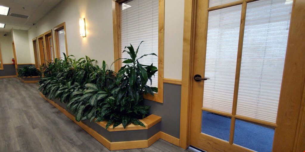 9550 South Eastern Avenue